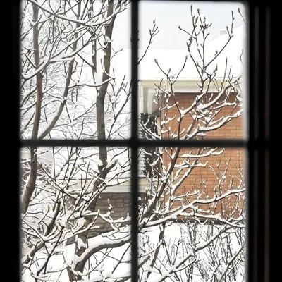 2026 La millor manera de segellar finestres per a l'hivern